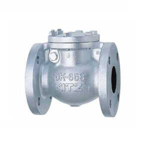 Van 1 chiều gang 16SFB – JIS16K KITZ