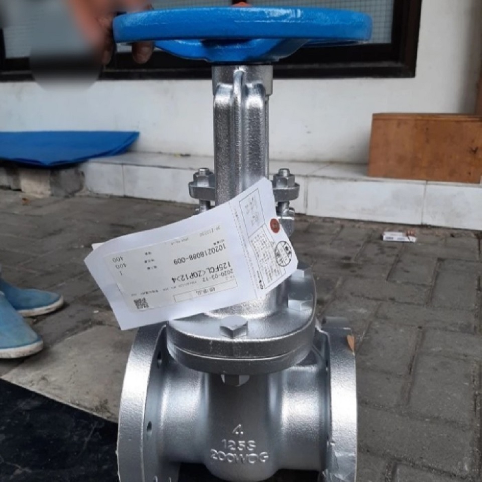 Van Cổng Gang Fchi Kitz