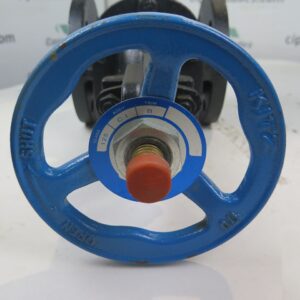 Van Cổng Gang Fcl Kitz Jis10K - Pn16 - Class125