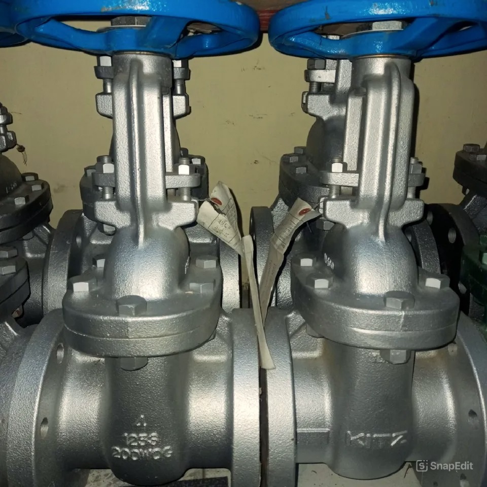 Van Cổng Gang Fcl Kitz