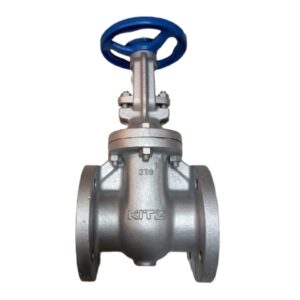 Van Cổng Gang Fcl Kitz Jis10K - Pn16 - Class125