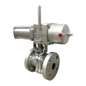 Van bi điều khiển khí nén BS