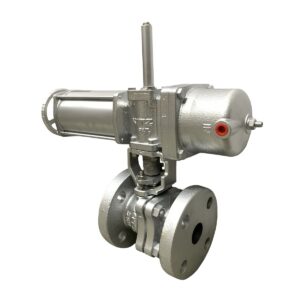 Van bi điều khiển khí nén BSW
