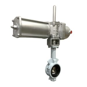 Van bướm điều khiển khí nén BS
