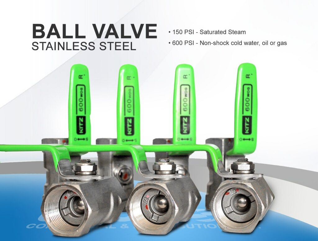 Gioi Thieu Thuong Hieu Kitz 04