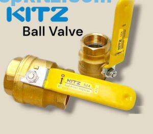 Van Bi Sza Kitz Bị Rò Rỉ