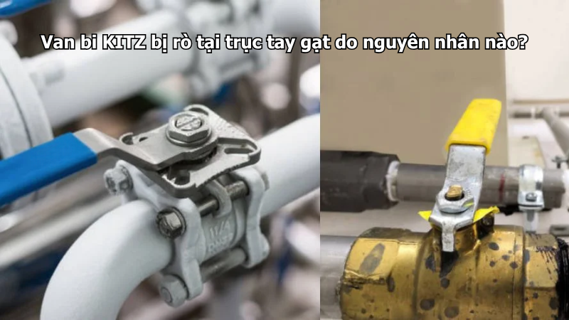 Van Bi Kitz Bị Rò Tại Trục Tay Gạt Do Nguyên Nhân Nào?