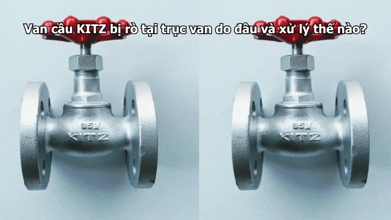 Van Cau Kitz Bi Ro Tai Truc Van Do Dau Va Xu Ly The Nao