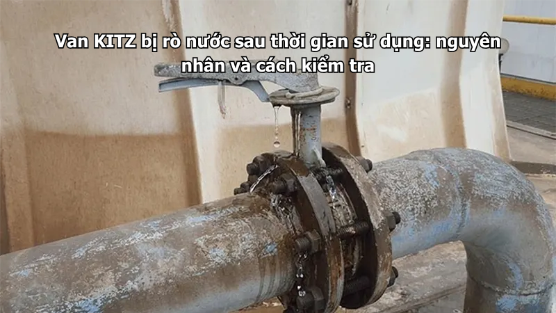 Van Kitz Bị Rò Nước Sau Thời Gian Sử Dụng: Nguyên Nhân Và Cách Kiểm Tra