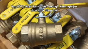 Van Kitz Nhật Bản Có Bền Không? Kinh Nghiệm Chọn Mua Đúng Loại
