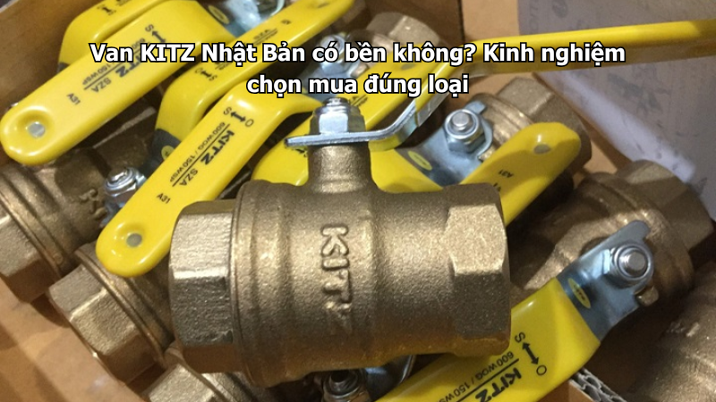 Van Kitz Nhật Bản Có Bền Không? Kinh Nghiệm Chọn Mua Đúng Loại