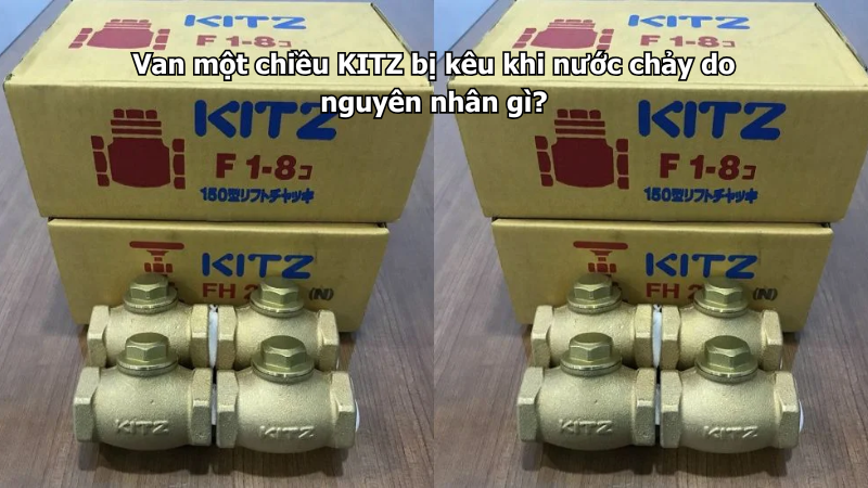 Van Một Chiều Kitz Bị Kêu Khi Nước Chảy Do Nguyên Nhân Gì? 1 Van Một Chiều Kitz Bị Kêu Khi Nước Chảy Do Nguyên Nhân Gì?